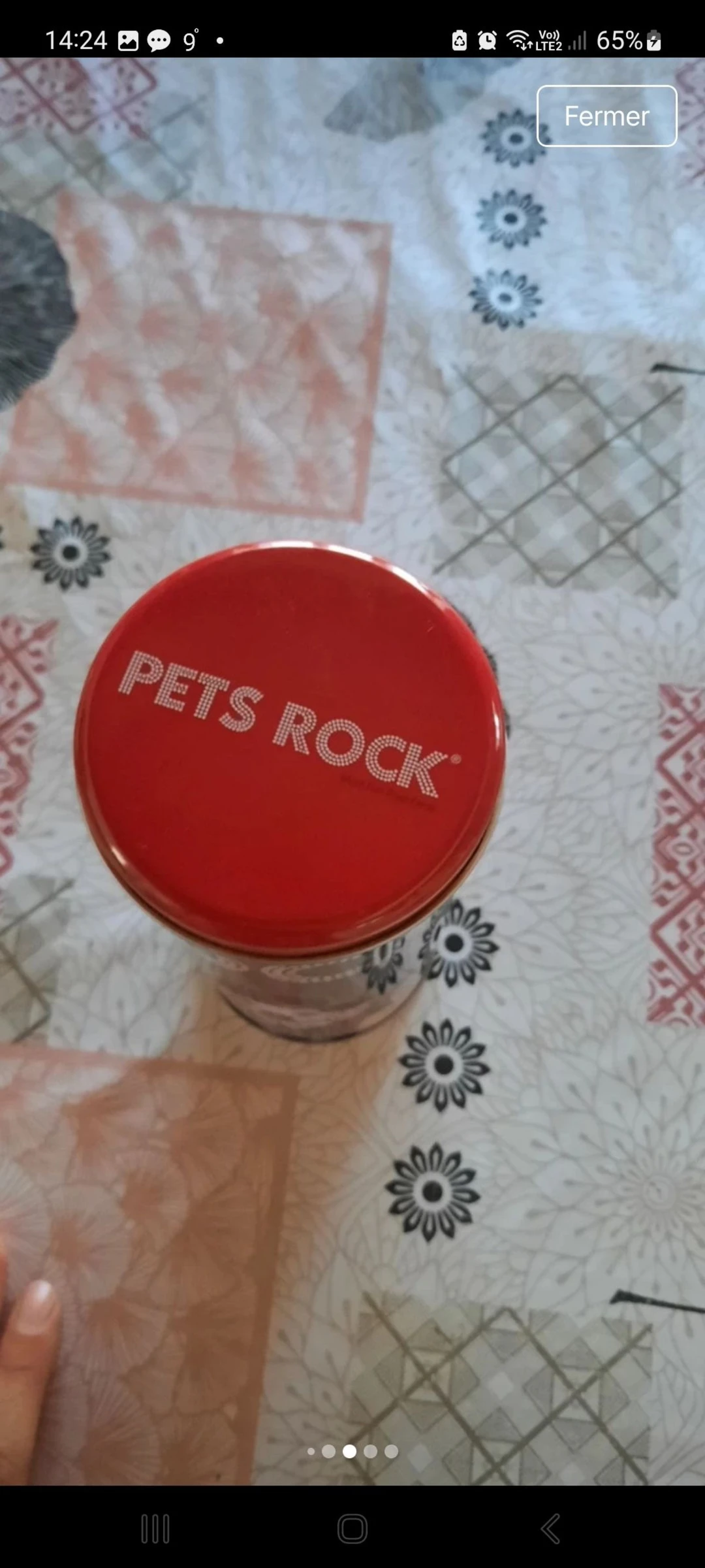 Caja Pets Rock – photo 7